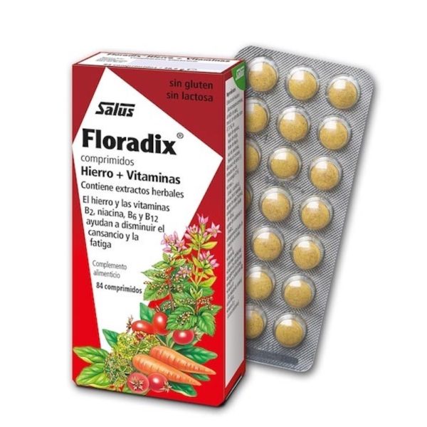 Floradix Salus 84 Comp