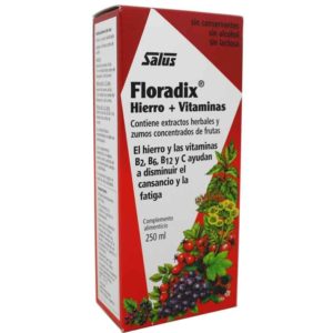 Floradix jarabe hierro Salus 250 ml